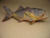 bluefish