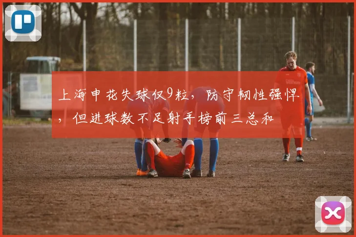 上海申花失球仅9粒，防守韧性强悍，但进球数不足射手榜前三总和